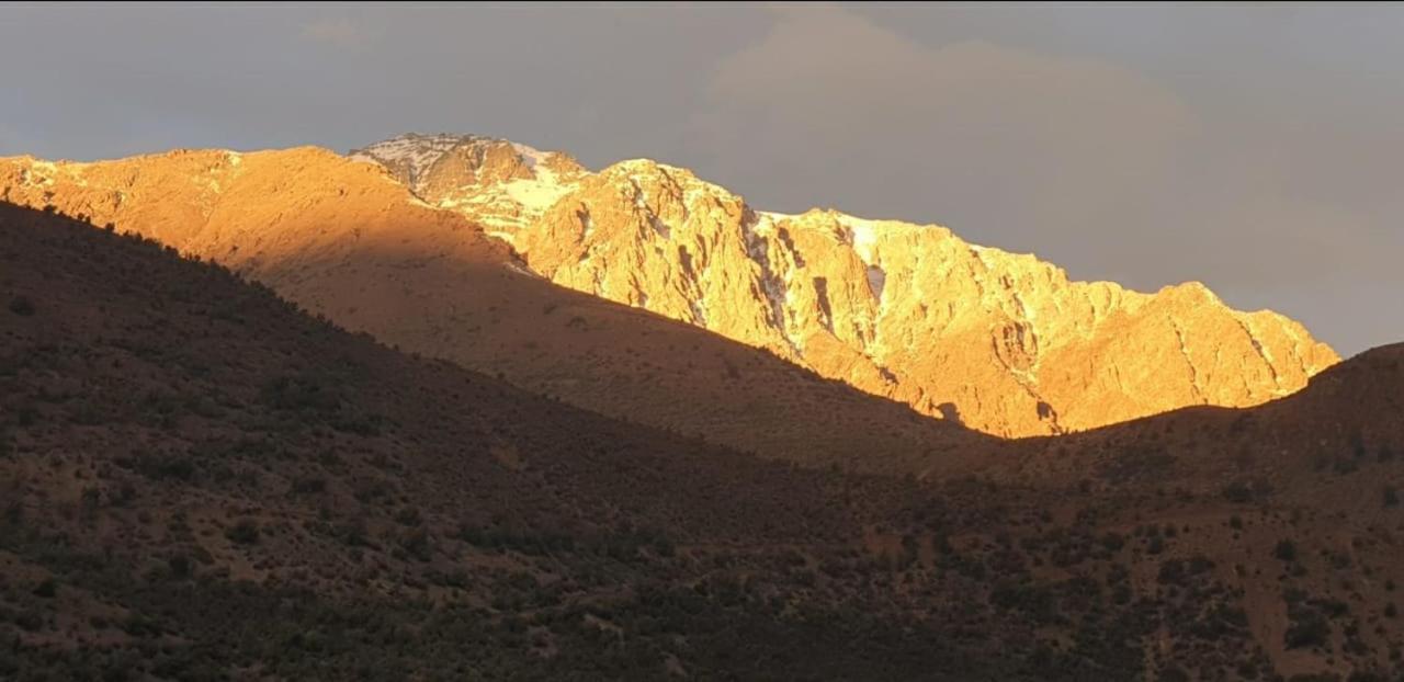 Refugio Cordillera Flora Endogena Bosque Esclerofilo Villa San José de Maipo Dış mekan fotoğraf